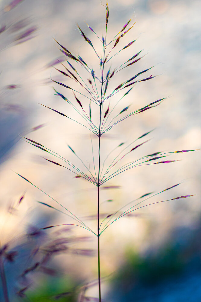Photograph by Nikolina Juran