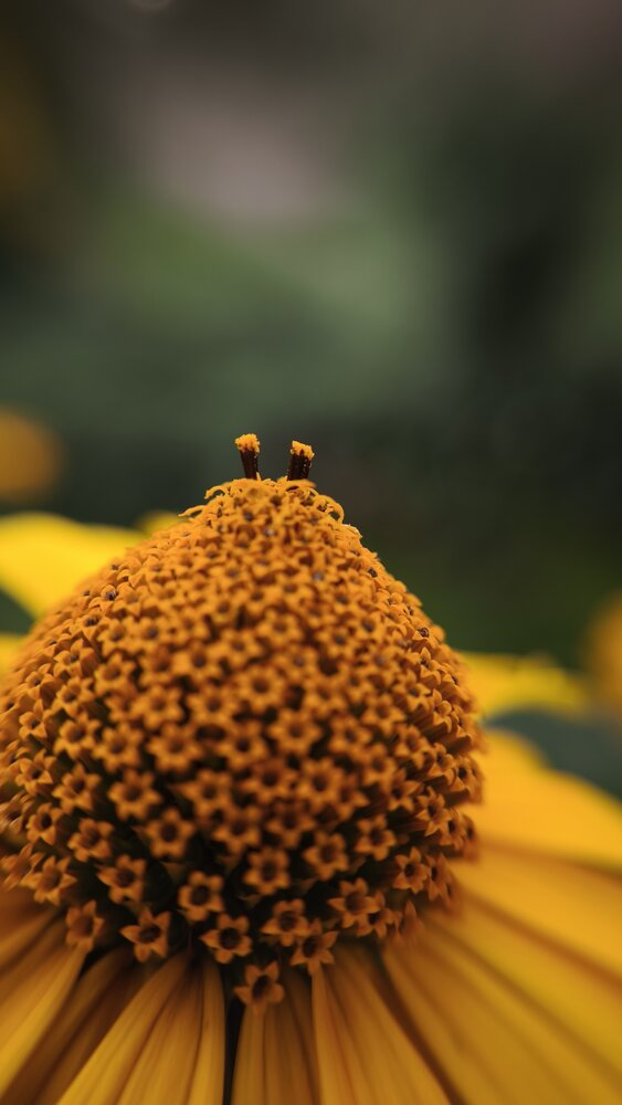 Photograph by Eugenia Blinova