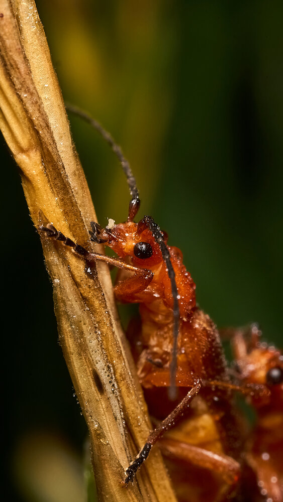 Photograph by Руслан Сидоренко