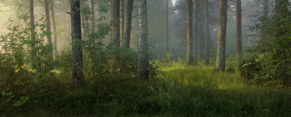 Photograph by Алексеев Дмитрий