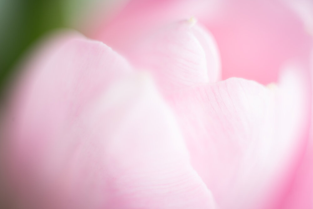 Photograph by Алексей Михайлов