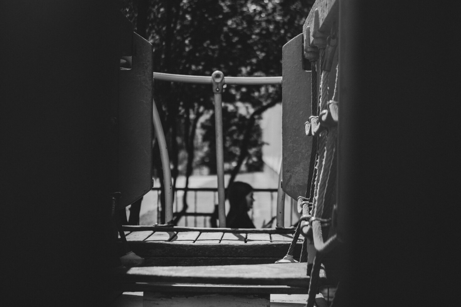 Photo #13897005