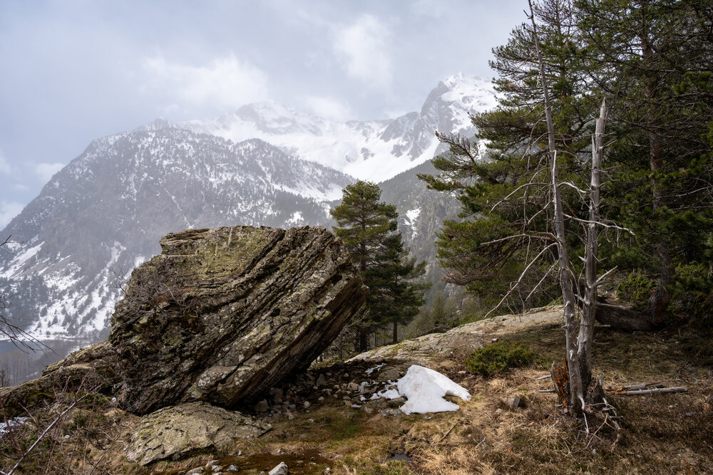 Photograph by Tikhomirov Valery