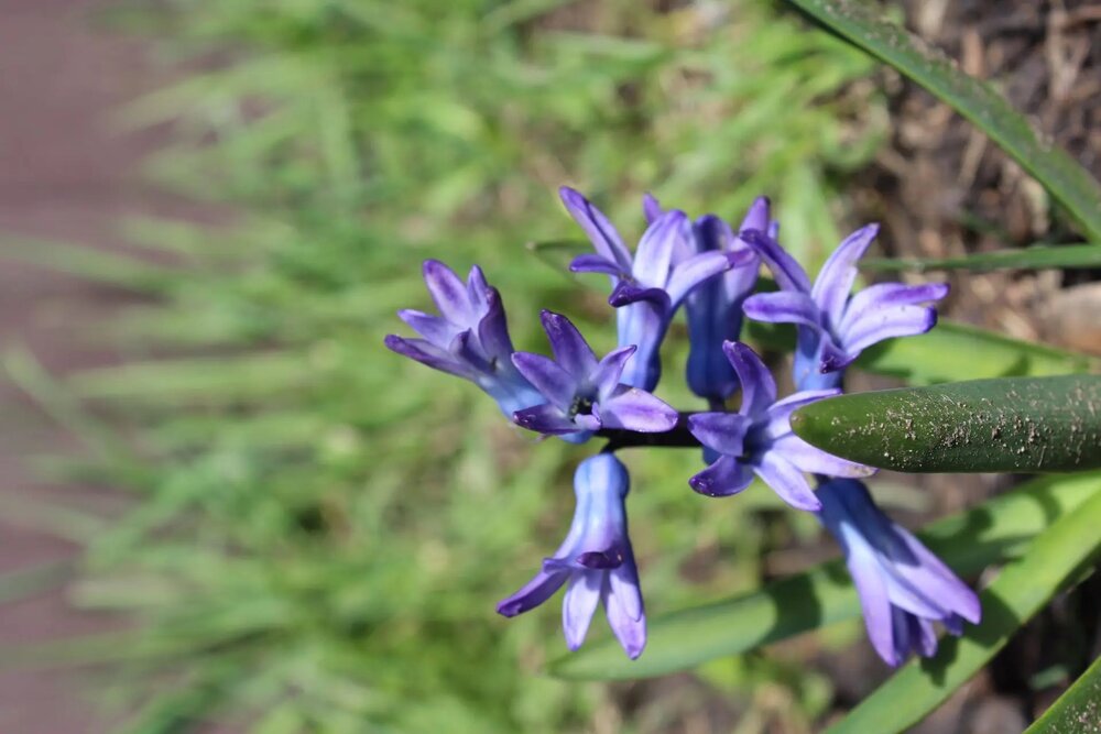Photograph by оксана сафронова