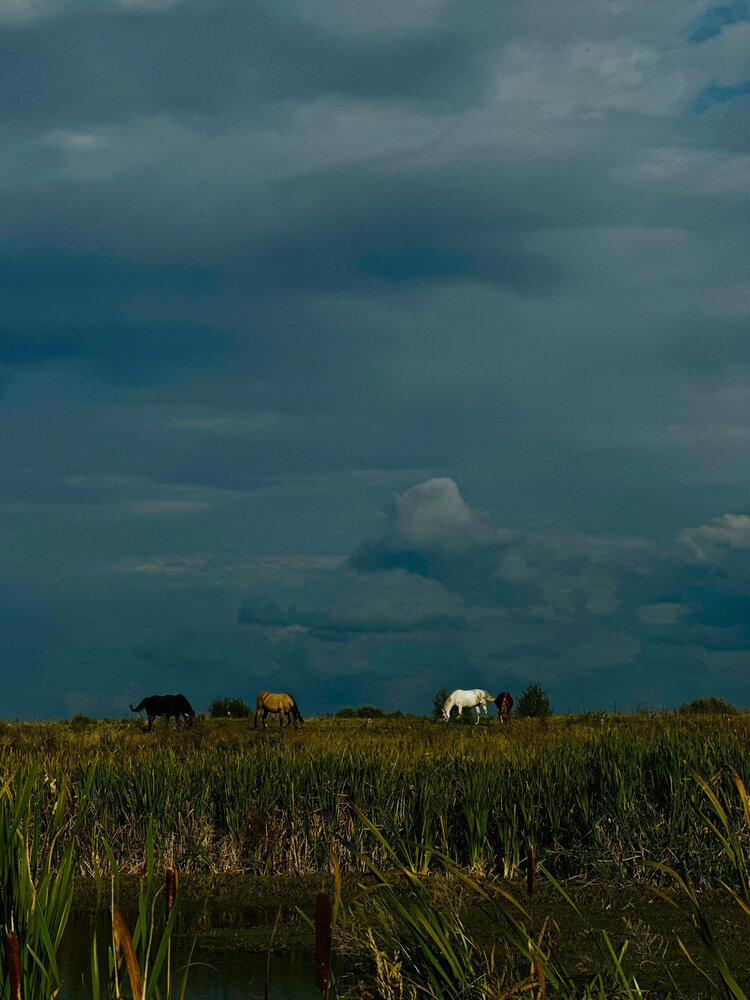 Photograph by Екатерина Спицина