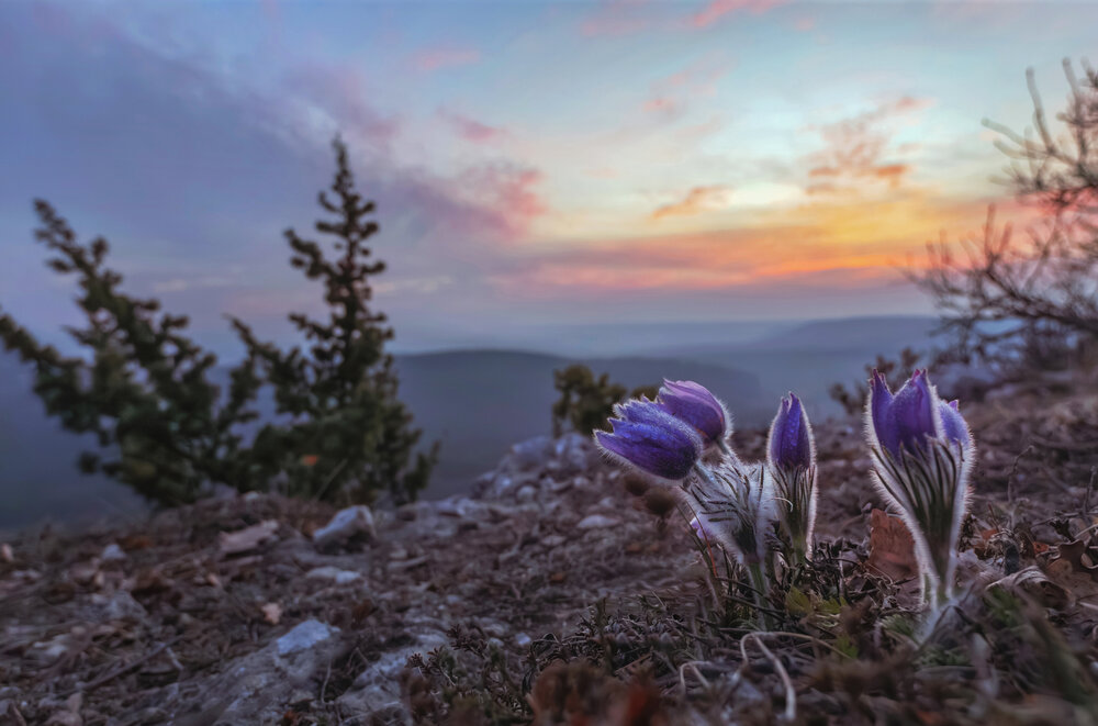 Фотография автора Щепотина Татьяна