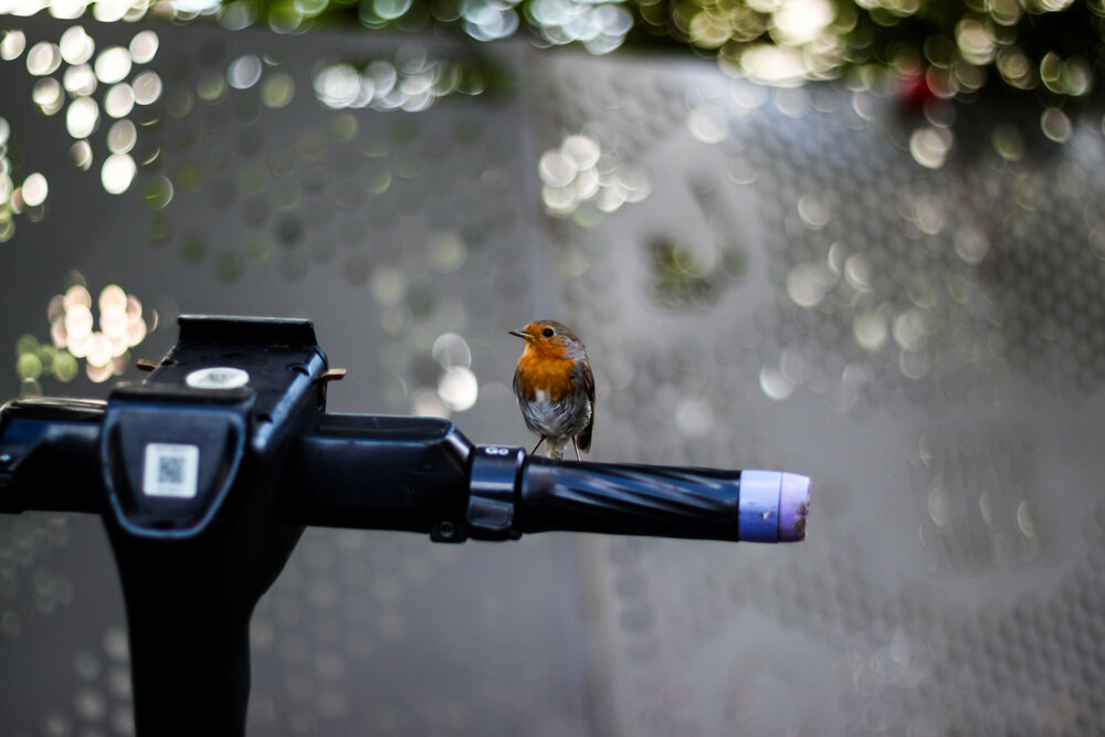 Photograph by Danila Mishchenko