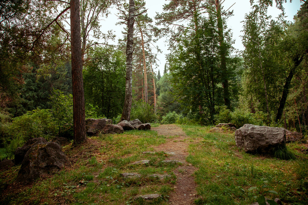 Photograph by Dmitry Grunin