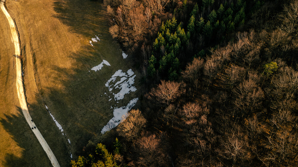 Photograph by Gregor Kobilica