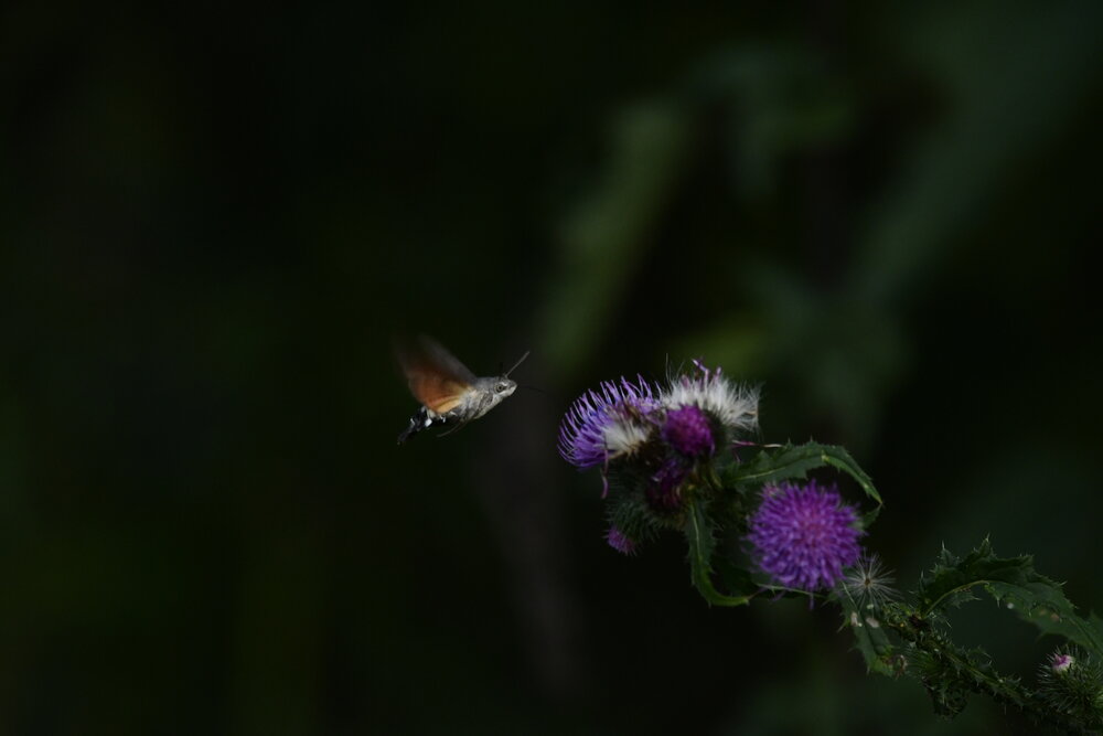 Photograph by Andrea Porro