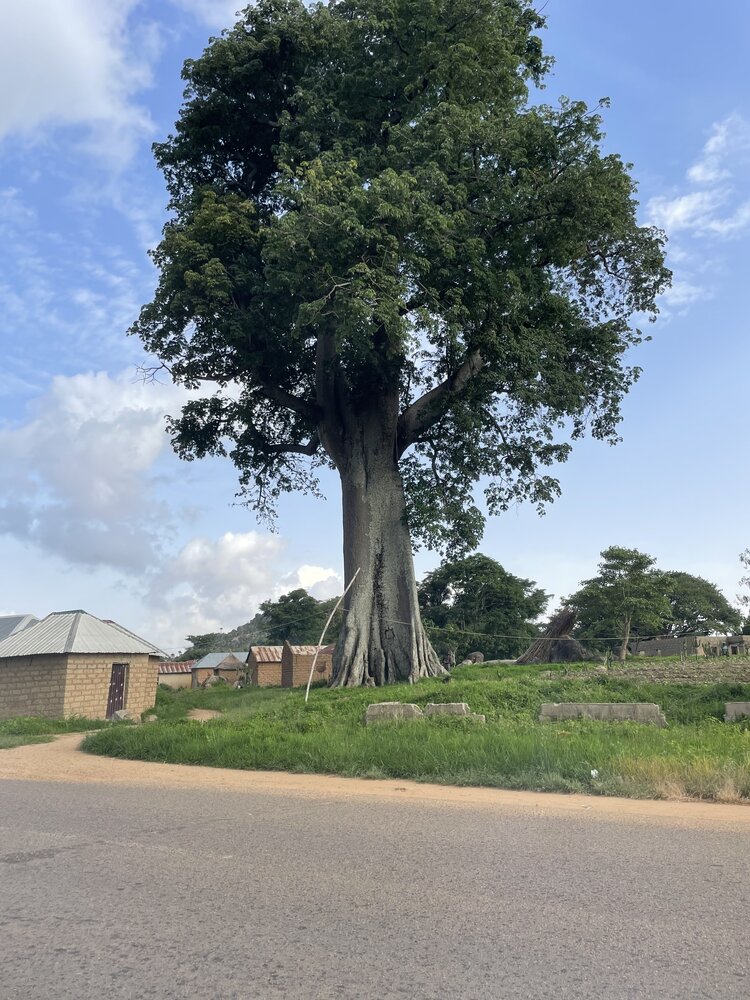 Photograph by Ndegopwa Vinkoh