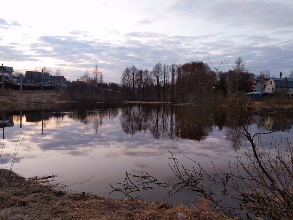 Photo #13897348