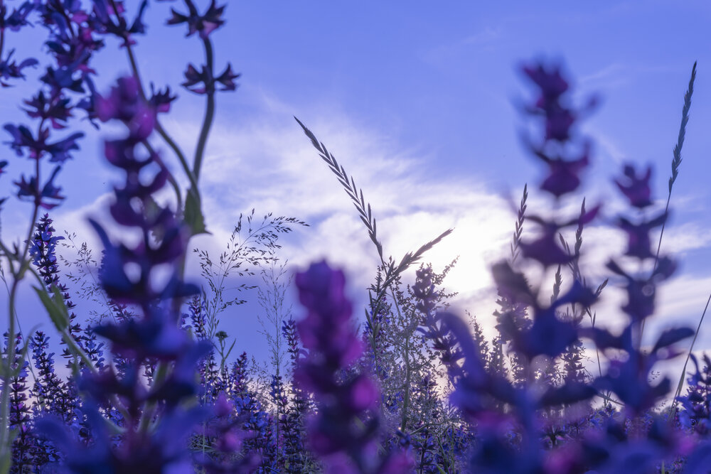 Photograph by Дарья Гусева