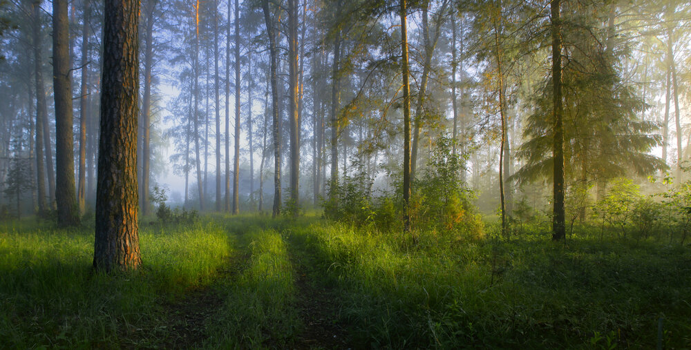 Photograph by Алексеев Дмитрий