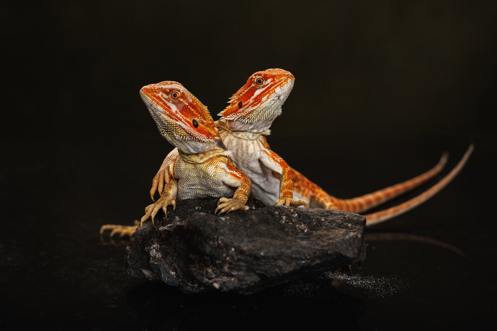 Photograph by Яна Нарбутович