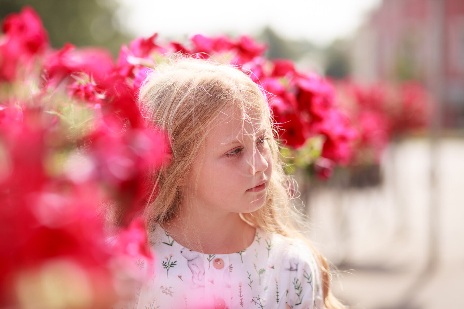 Photo #13897464