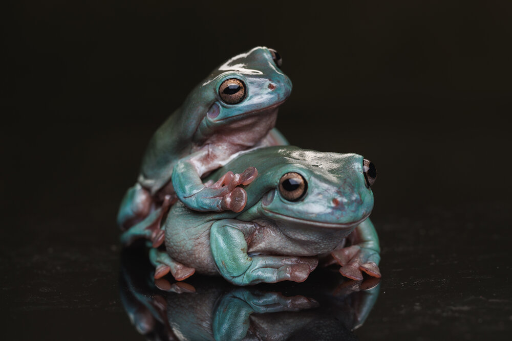 Photograph by Яна Нарбутович