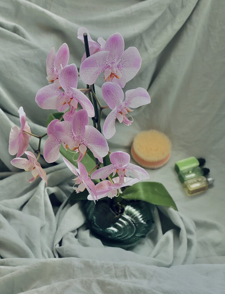 Photograph by Наталия Семенова
