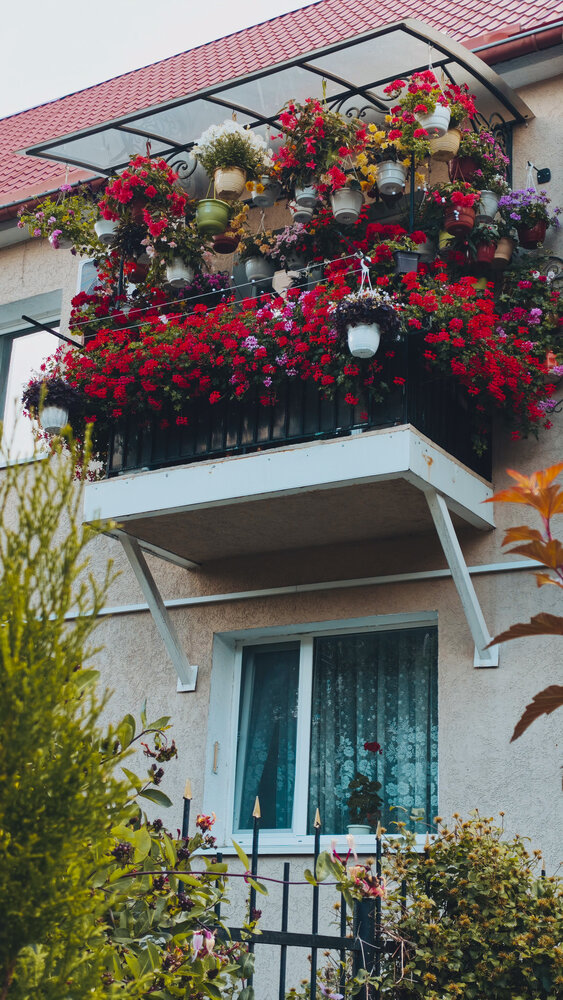 Фотография автора Dar Kirilicheva