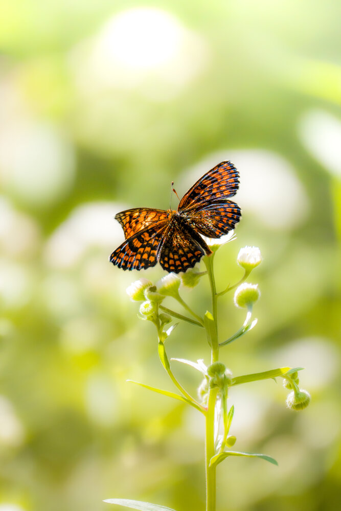 Photograph by Ekaterina Barashkova