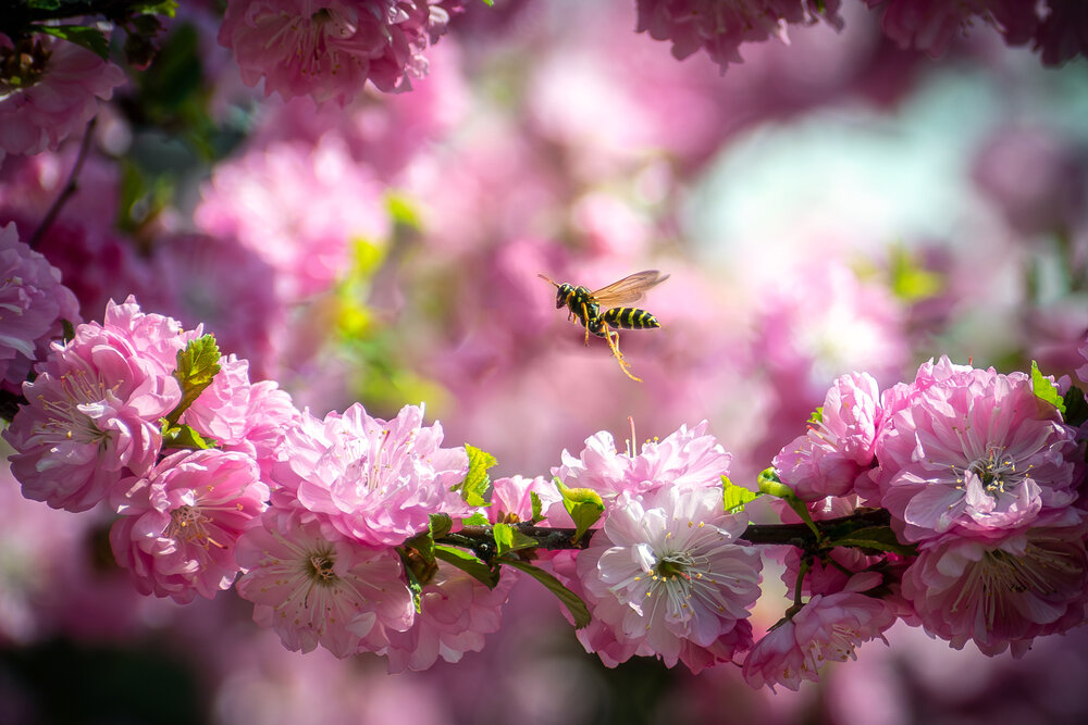 Photograph by Дмитрий Огольцов