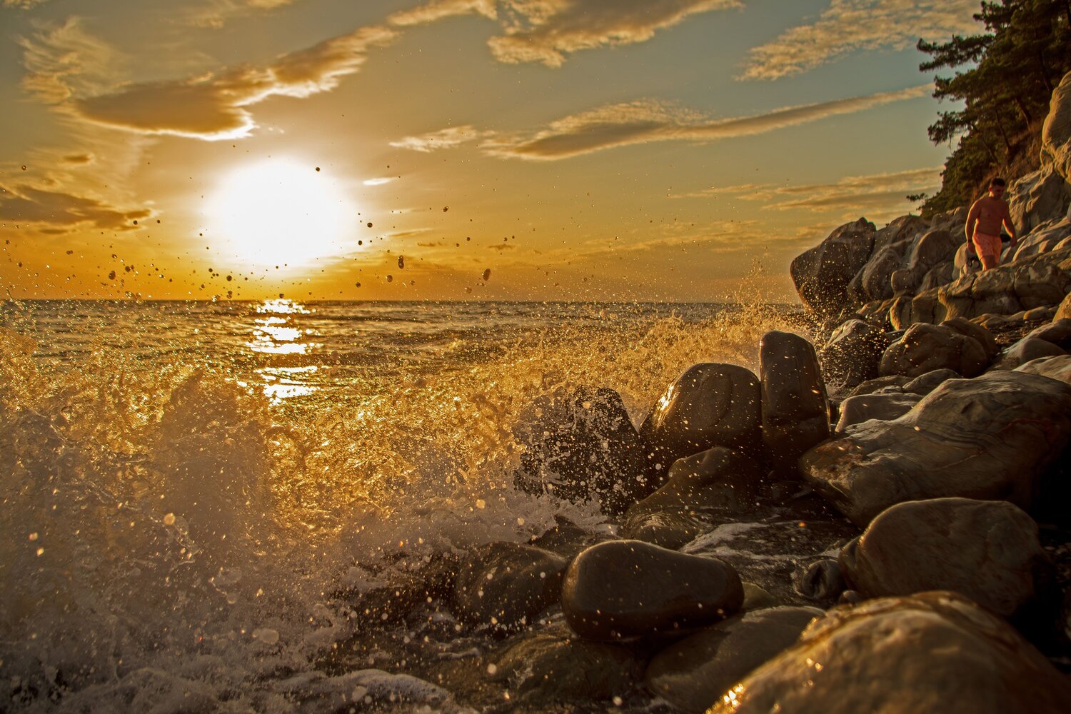 Photo #13897630
