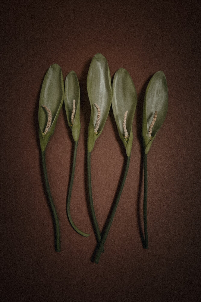 Photograph by Наталья Чурашова