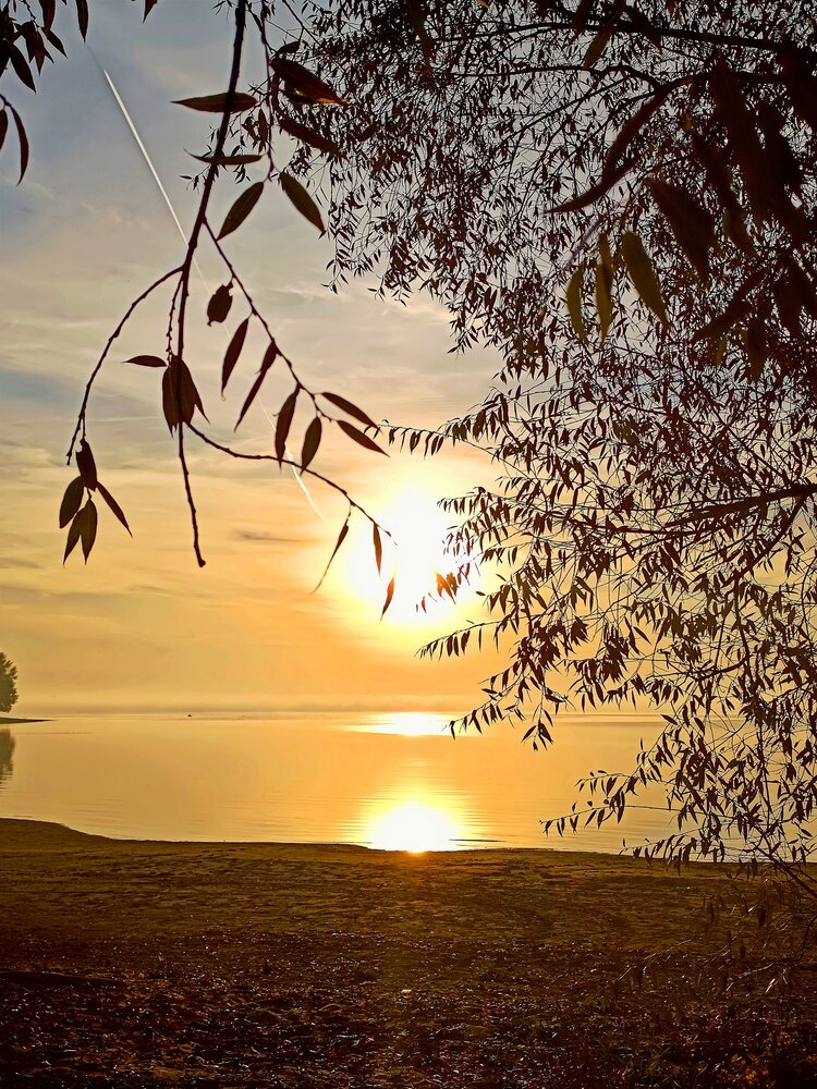 Photograph by Дарья Глухова
