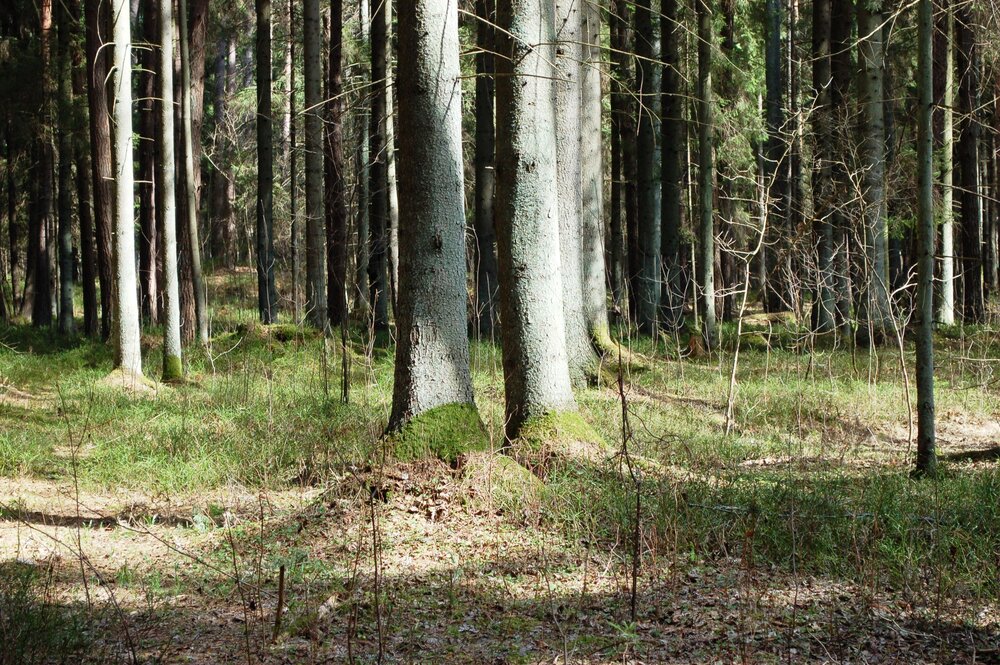 Photograph by Igors Rostikovs