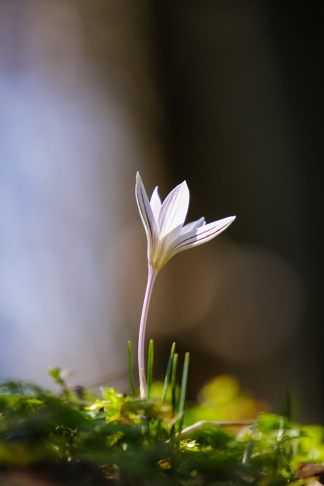 Photograph by Сергей Кравченко