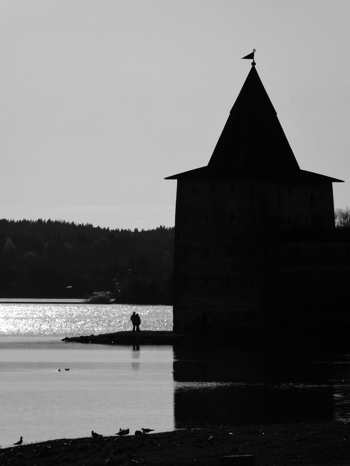 Photo #13897765