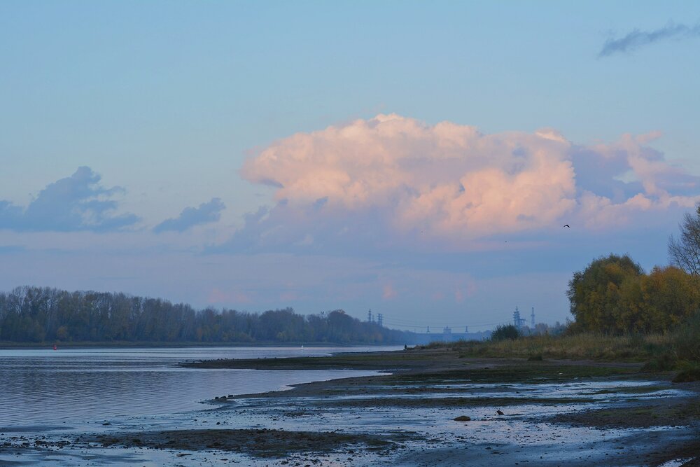 Photograph by Дарья Глухова
