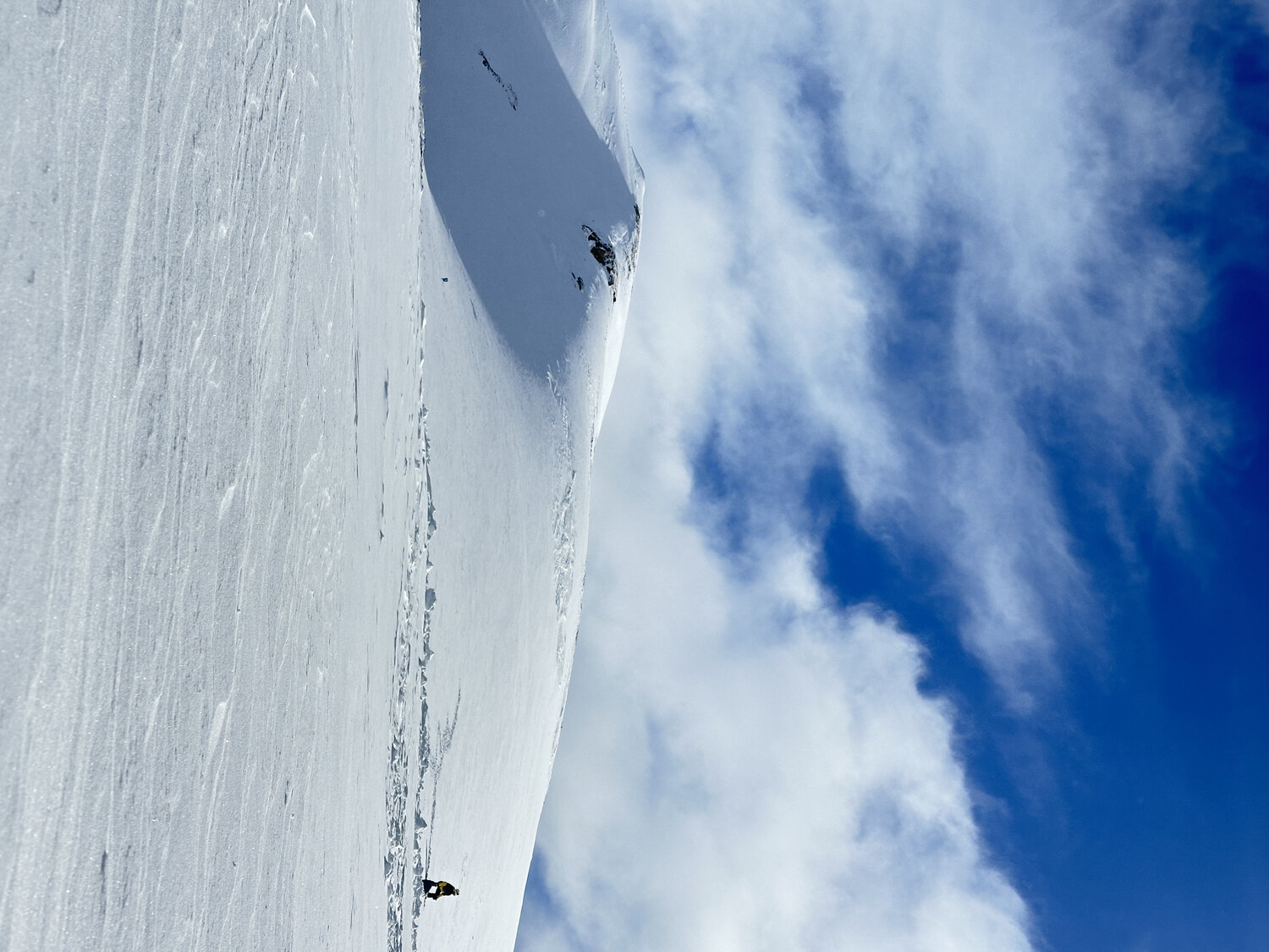 Photo #13897964
