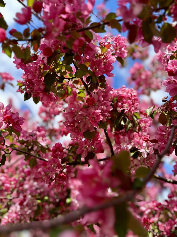 Photograph by Полина Николаева