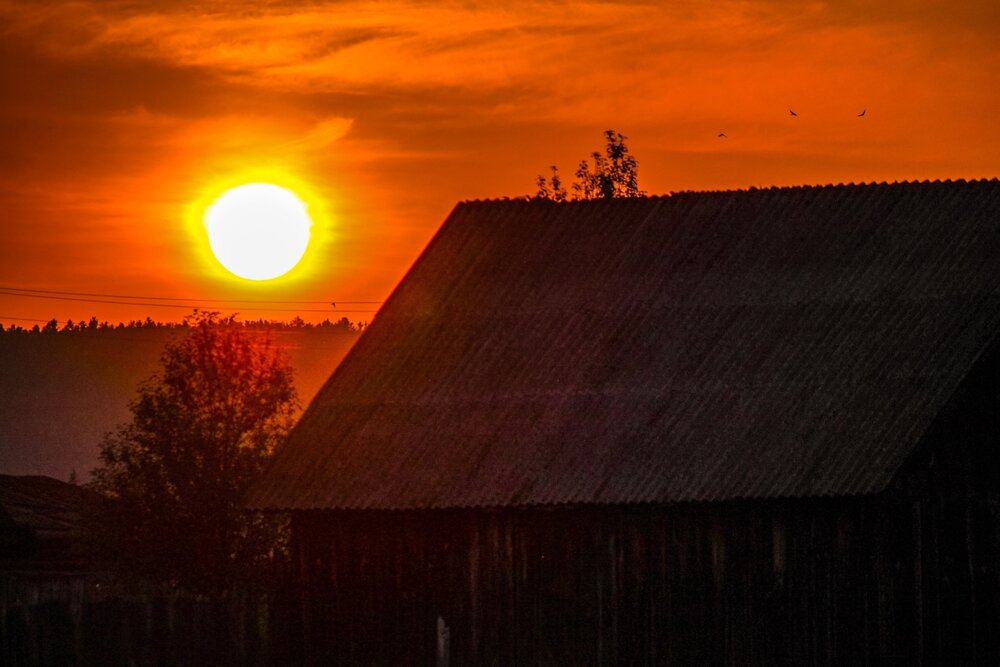 Photograph by Павел Ван