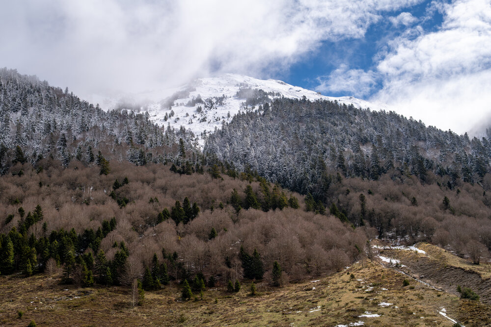 Photograph by Tikhomirov Valery