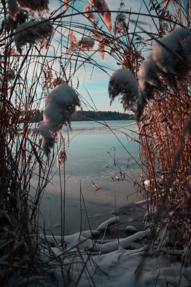 Photograph by Инна Лаца