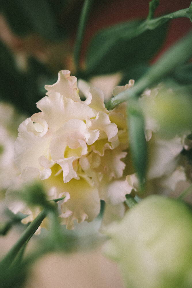Photograph by Елена Ведьмак