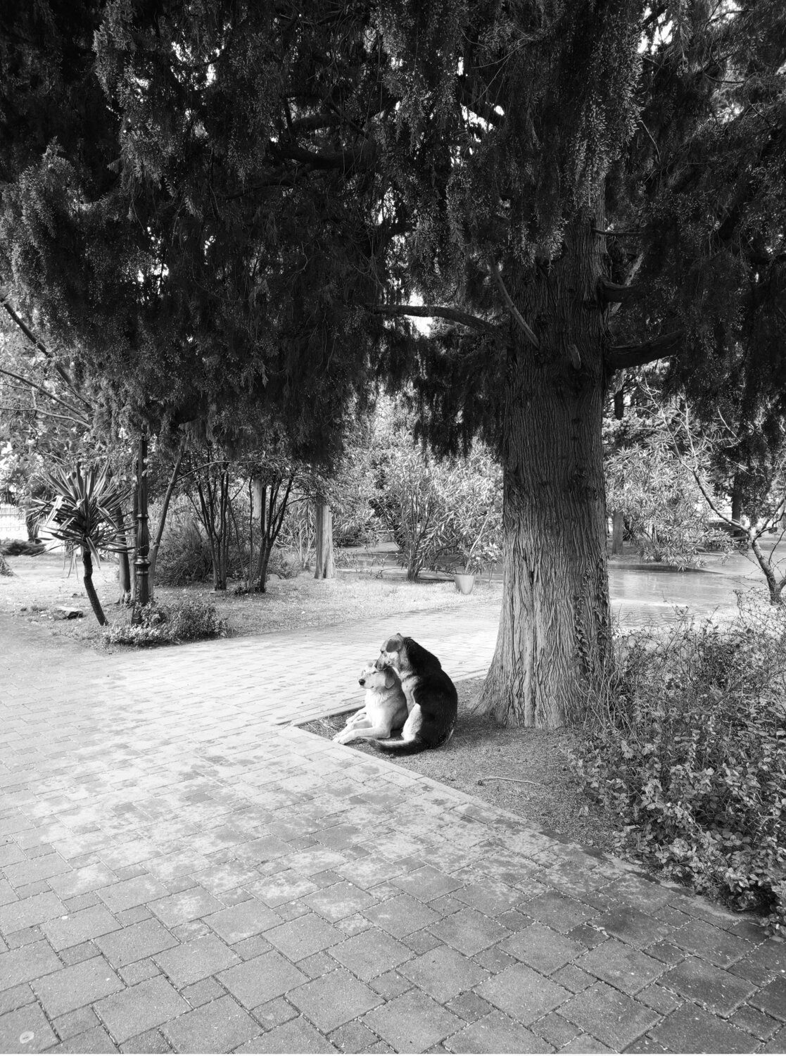 Photo #13898278
