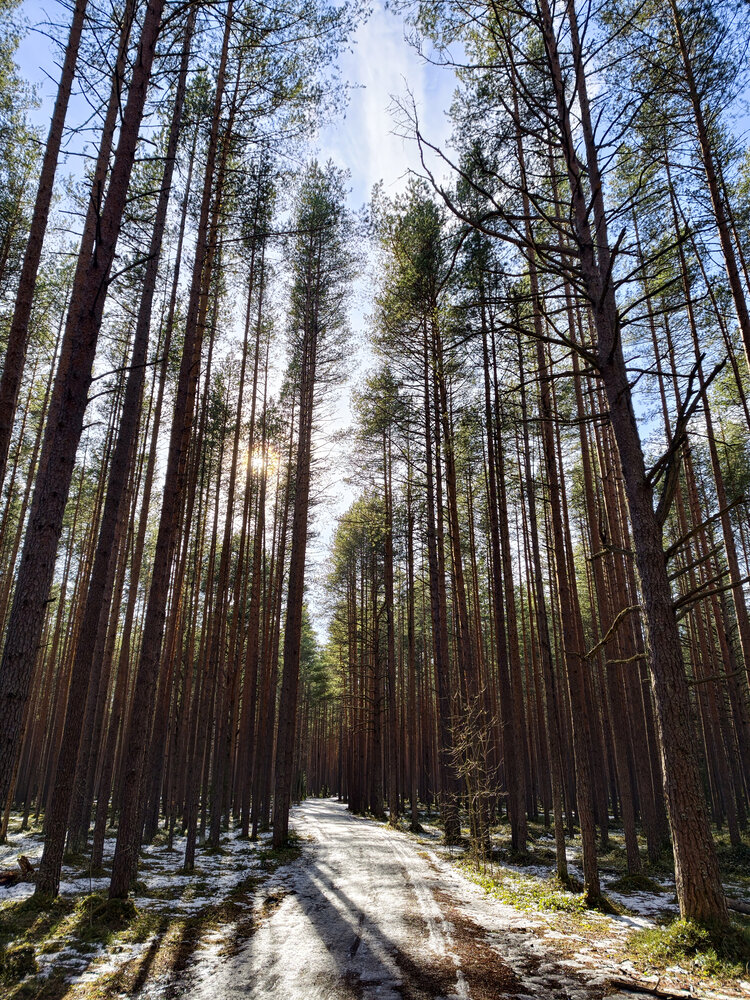 Фотография автора Татьяна Бойцова