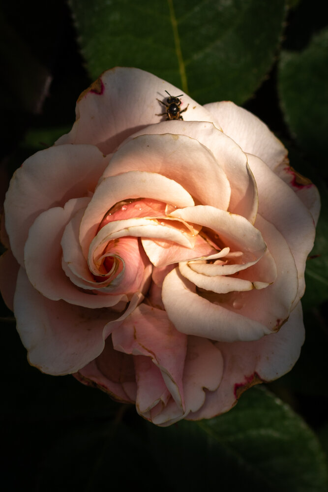 Photograph by Ольга Салтыкова