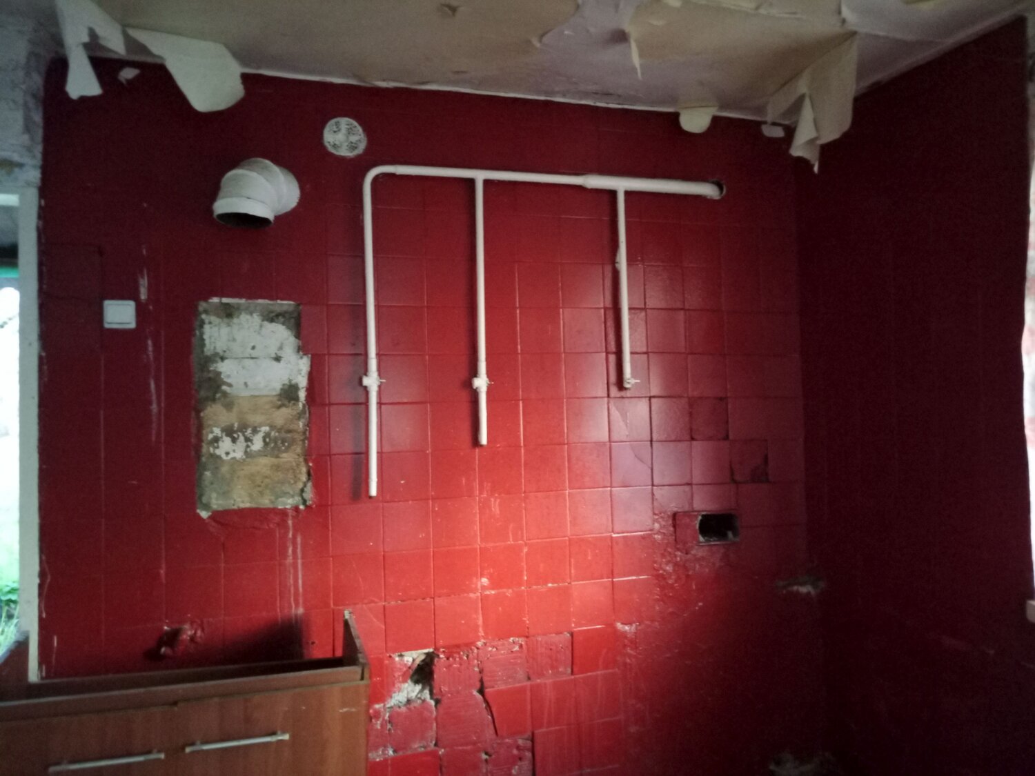 Photo #13898436