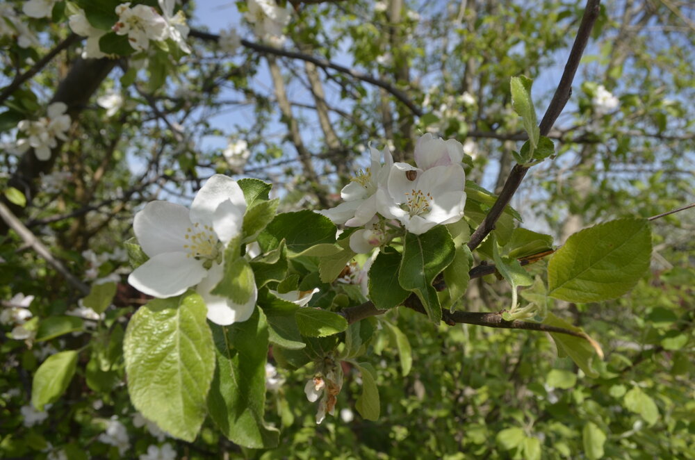 Photograph by Сергей Лахтионов
