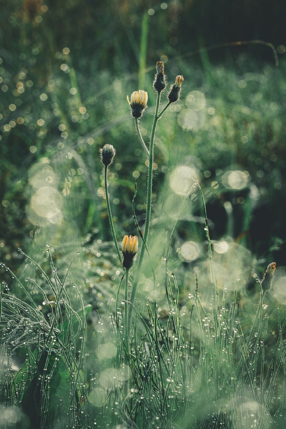 Photo #13898504