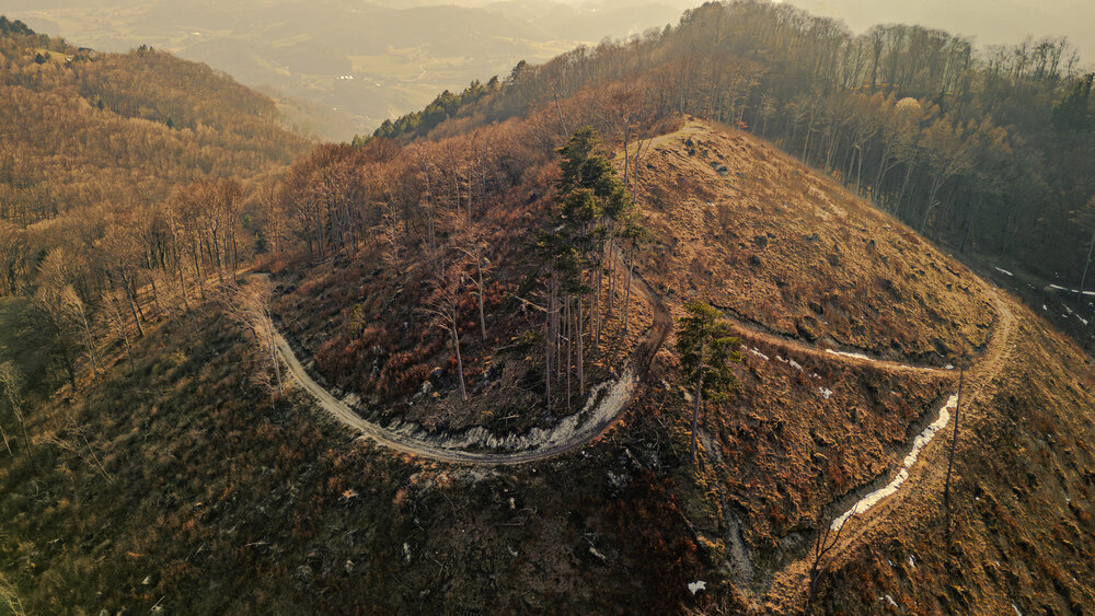 Photograph by Gregor Kobilica
