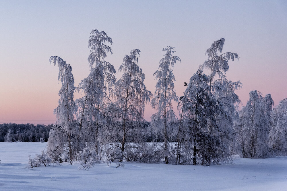 Фотография автора Олег Каленин