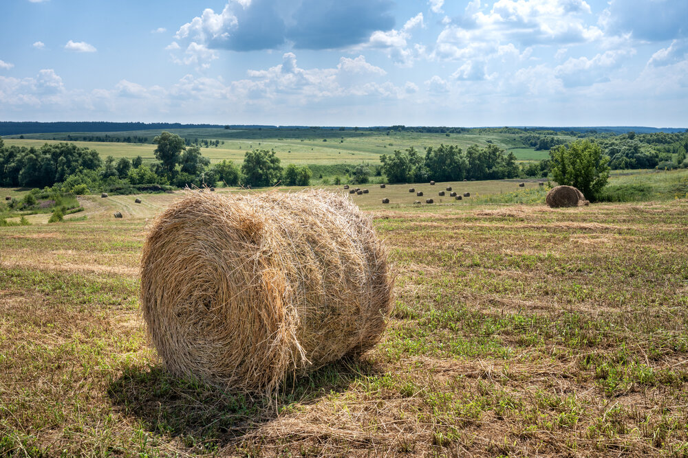 Photograph by Олег Каленин