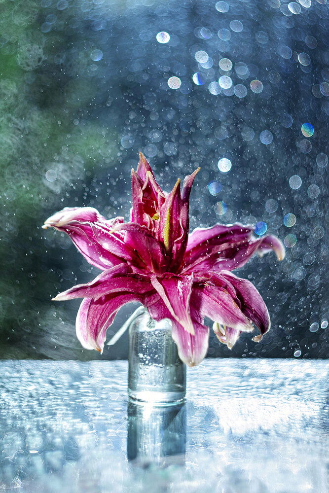 Photograph by Natalia Matyukhina