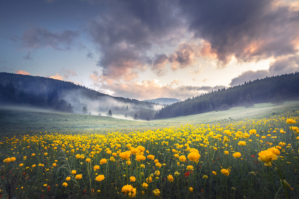 Photograph by Александър Александров
