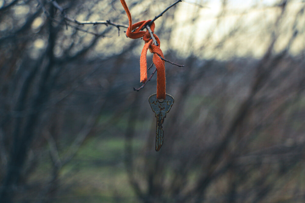 Photograph by Радь Сергей